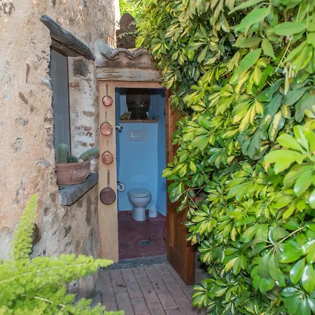 Beautiful House In