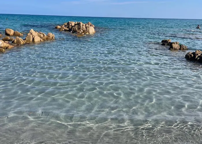 Tatil Evi Beautiful House In *