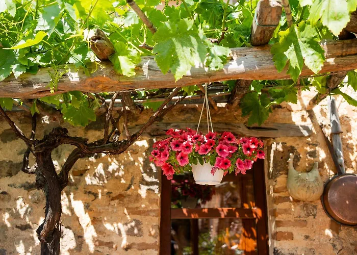 Tatil Evi Beautiful House In *